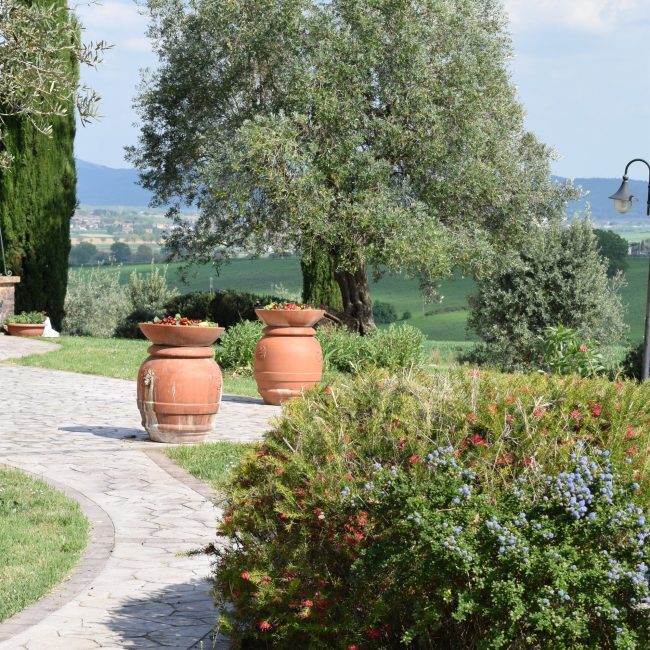 Panoramic view Agriturismo I Romiti Lago Trasimeno